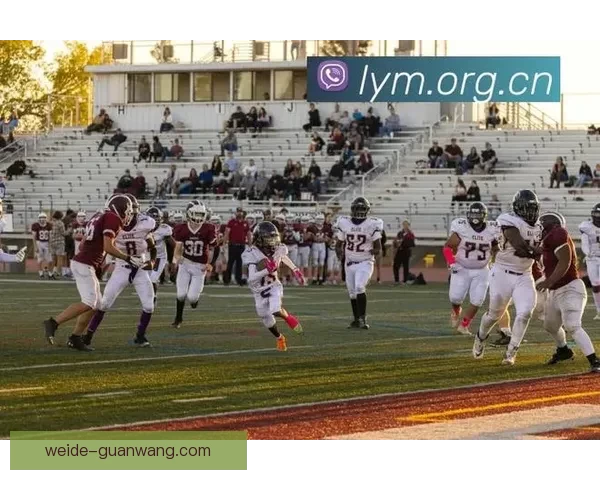 2026世界杯直播网站全程在线免费观看全球赛事精彩瞬间